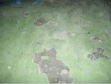 滄晟地坪漆_廠(chǎng)房地坪為何要進(jìn)行翻新的五大項(xiàng)！